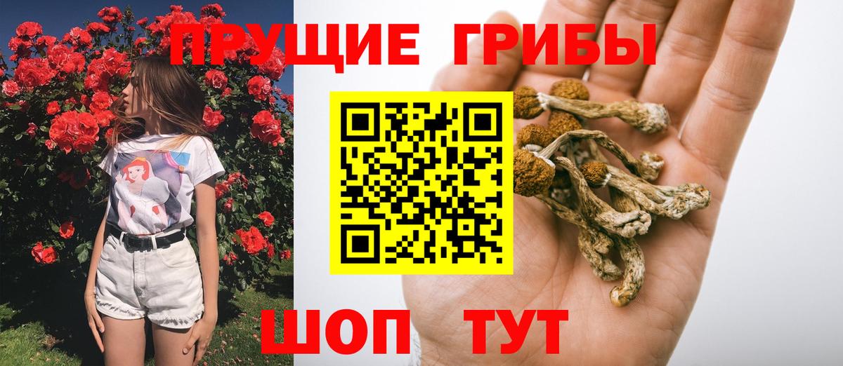 Биробиджан  Галлюциногенные грибы Psilocybine cubensis  Вход с VPN  Псилоцибиновые грибы прущие грибы 