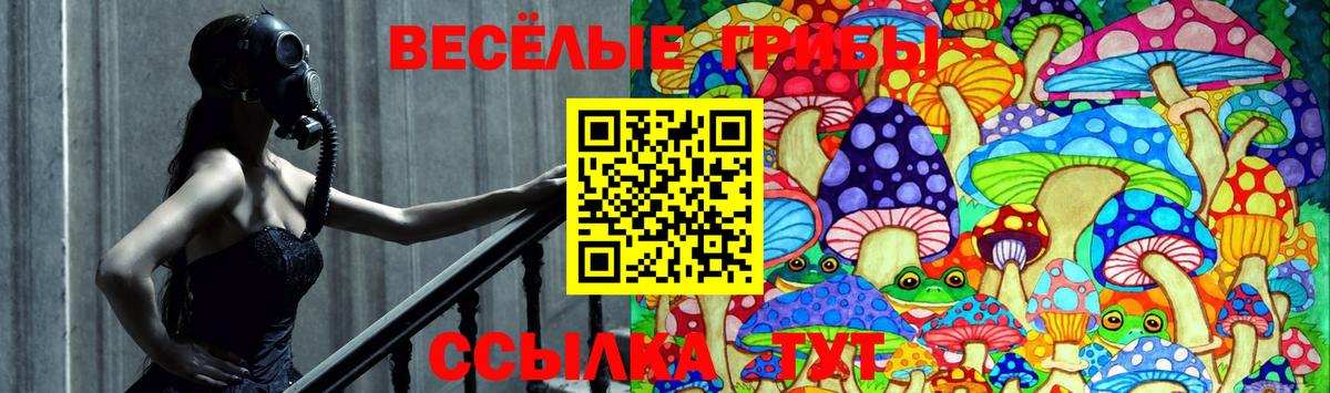 Галлюциногенные грибы мицелий Биробиджан